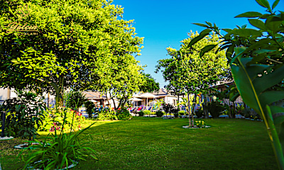 Villa Zeytin